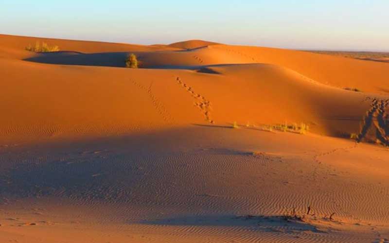 کویرنوردی در کویر همت‌آباد: تجربه‌ای فراموش‌نشدنی در دل شنزارها