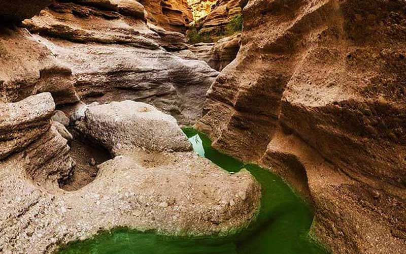 چشمه مرتضی‌علی طبس؛ شگفتی طبیعت و راز آب گرم و سرد در دل کویر