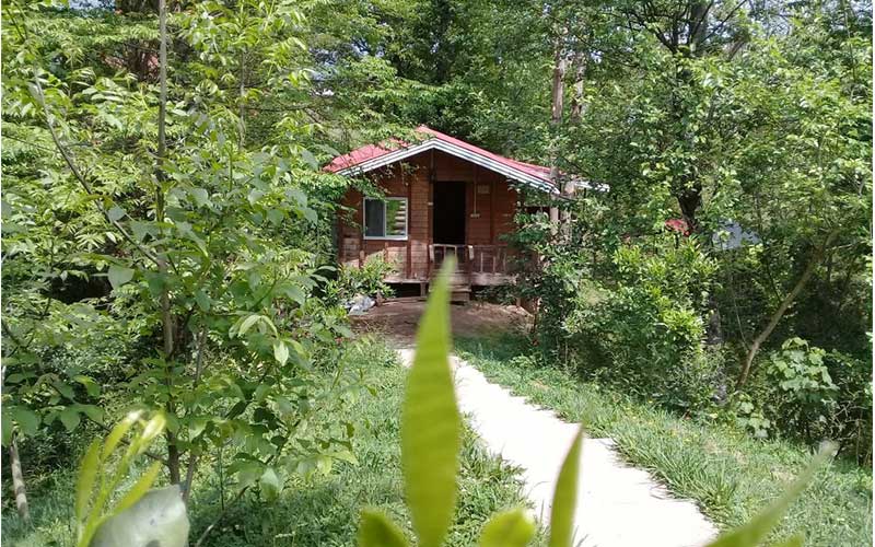 تجربه اقامت در ویلاهای لوکس جاده چالوس | آرامش، طبیعت و لاکچری واقعی نزدیک تهران